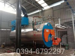 15万大卡低氮导热油炉