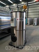 6吨生物质导热油炉