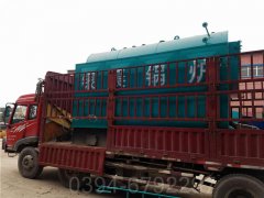 燃甲醇热水锅炉