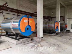 6吨小型热水锅炉