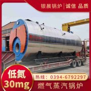 WNS10-1.25-QY冷凝蒸汽锅炉银晨锅炉集团有限公司