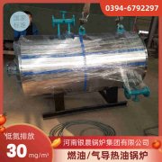 WNS12-1.25-QY冷凝蒸汽锅炉银晨锅炉集团有限公司