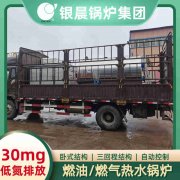 20吨冷凝蒸汽锅炉银晨锅炉厂