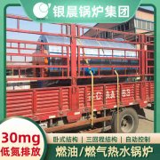 3吨液化气蒸汽锅炉银晨锅炉售后