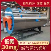 河南燃气蒸汽锅炉