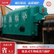 天然气导热油炉