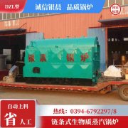 生物质锅炉厂家排名