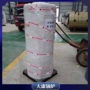中国490kw低氮锅炉