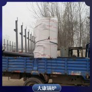 黑龙江二十吨低氮导热油炉