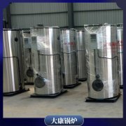 福建3.5mw低氮导油炉
