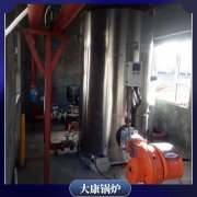 2吨燃油燃气蒸汽锅炉一诺容器