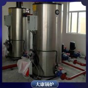 2021年受欢迎的3吨的锅炉鼎盛锅炉