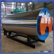 吉林0.5mw冷凝蒸汽锅炉