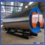 广东8t冷凝锅炉