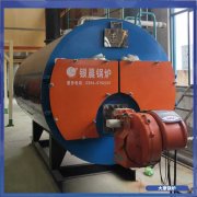 最小蒸汽锅炉WNS4厂家直供