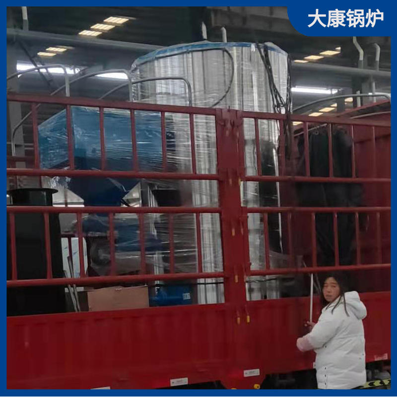 生物质锅炉蒸汽锅炉太康锅炉燃气开水炉