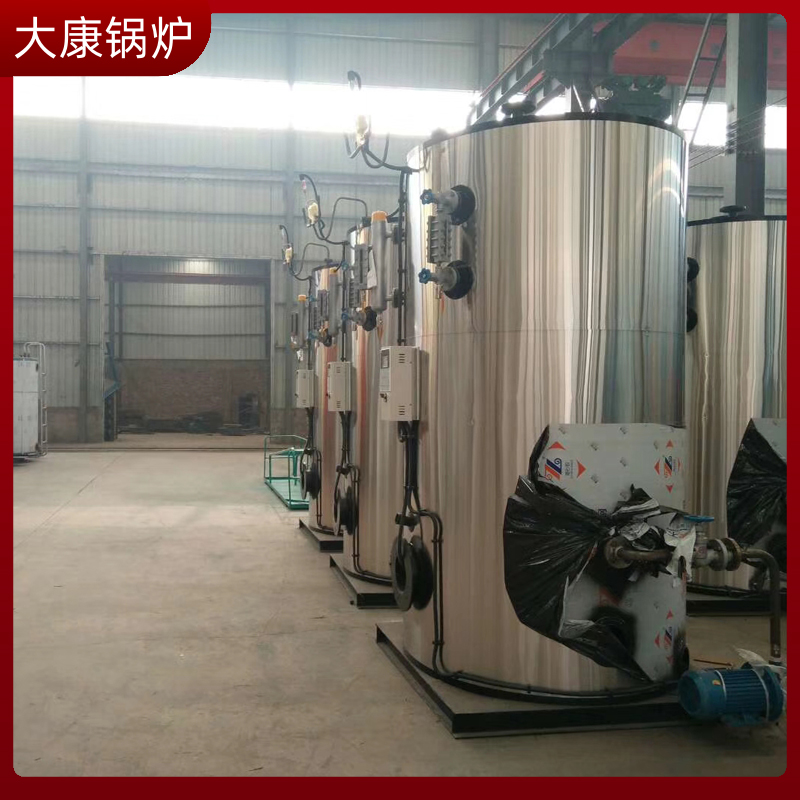 0.3吨液化天然气蒸汽发生器