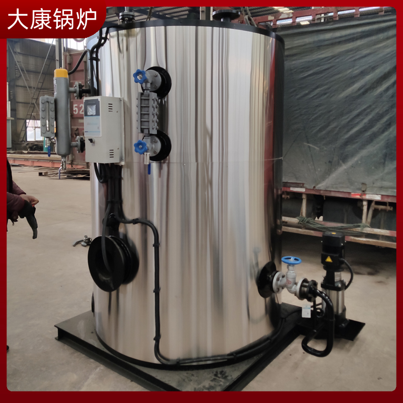 生物质颗粒大锅炉大康锅炉5吨燃煤热水锅炉