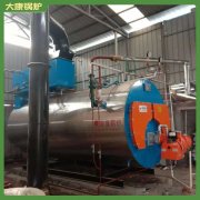 海南120kw液化气热水锅炉