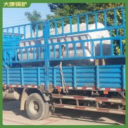 新疆YYQW-350低氮导热油炉