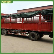天津5吨燃气热水锅炉