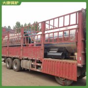 中国600万大卡冷凝导热油炉