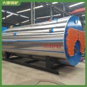 北京10.5mw导油炉