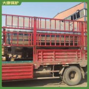 中国品牌6蒸汽锅炉太康银晨锅炉