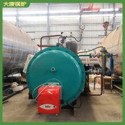 湖南0.5mw低氮锅炉