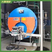 重庆5万大卡低氮导热油炉