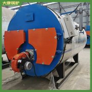 辽宁CWNS4.2-85/60-QY液化气热水锅炉