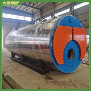 天津0.1mw冷凝导油炉
