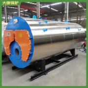 中国0.1mw低氮热水锅炉