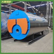 蒸汽发生器与锅炉WNS3生产厂家直销