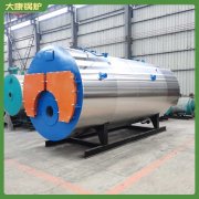 热水炉和蒸汽锅炉4吨具有核心技术的
