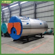 青海7000kw天然气热水锅炉