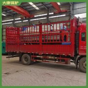 高温灭菌使用采暖锅炉安装太康银晨锅炉