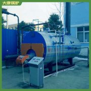 贵州YYQW-120小型锅炉