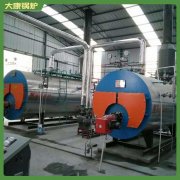 西藏350kw冷凝导热油炉