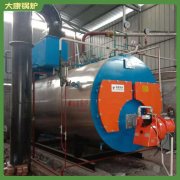 广西YYQW-240锅炉